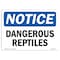 Signmission OSHA Notice, 5" Height, Dangerous Reptiles Sign, 7" X 5", Landscape OS-NS-D-57-L-10936 - alternate 1